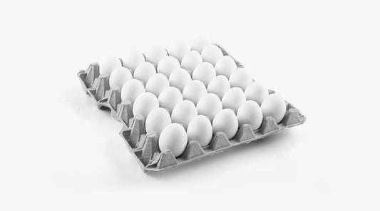 EGGS