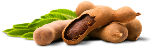 TREE FOODS TAMARIND 100-GM