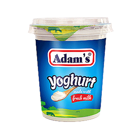 Adams Plain Yogurt 400g tub