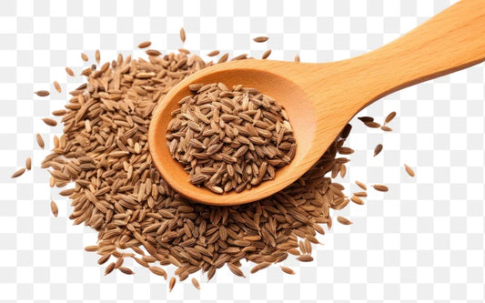 TREE FOODS CUMIN SEEDS 100-GM