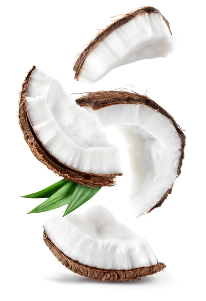 TREE FOODS COCONUT SLICES 50-GM